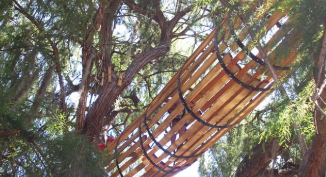 Rutas entre los arboles